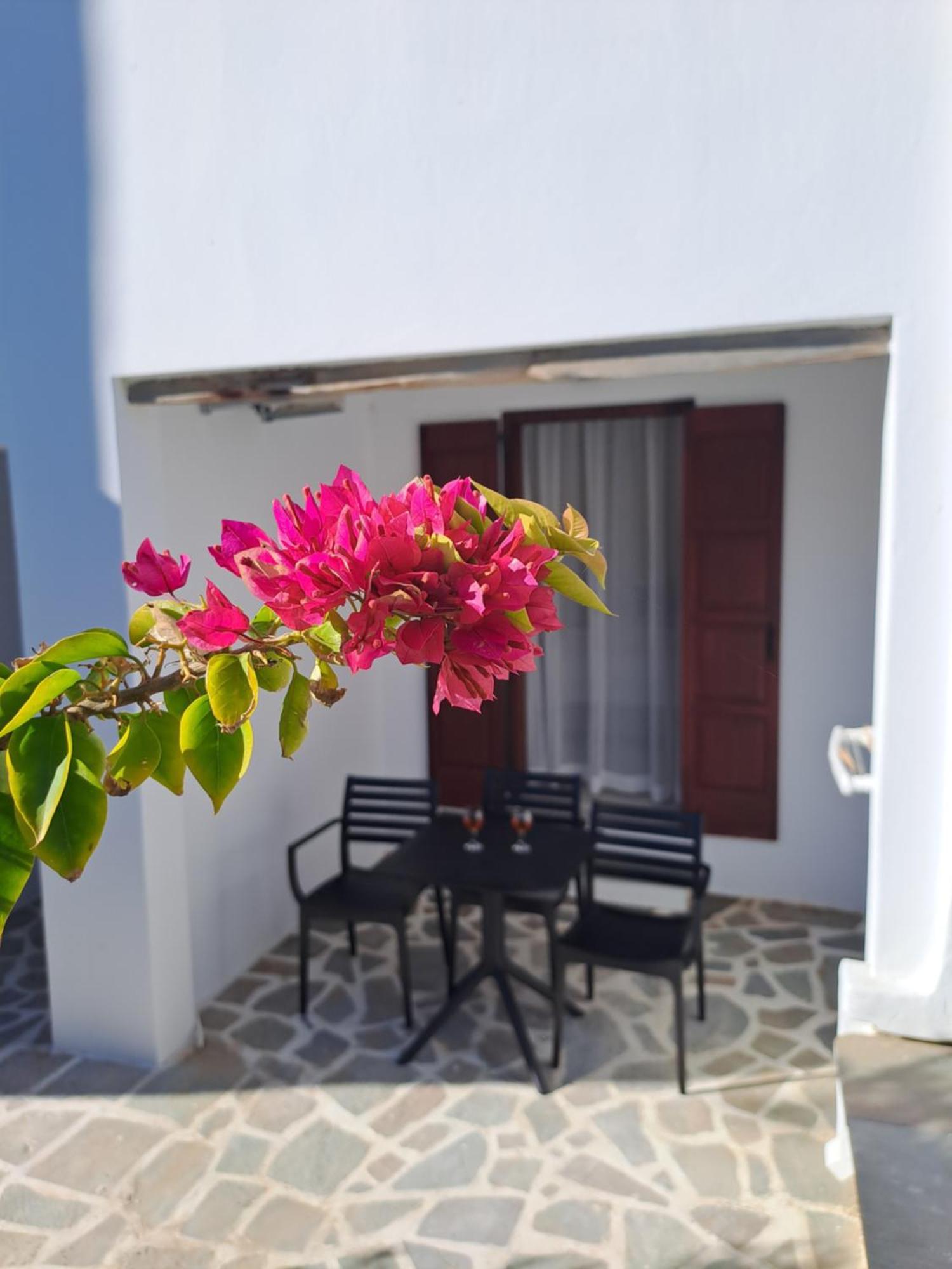 Anemomilos Beach Hotel Agia Anna  Exterior photo